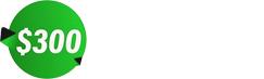 310 Loans